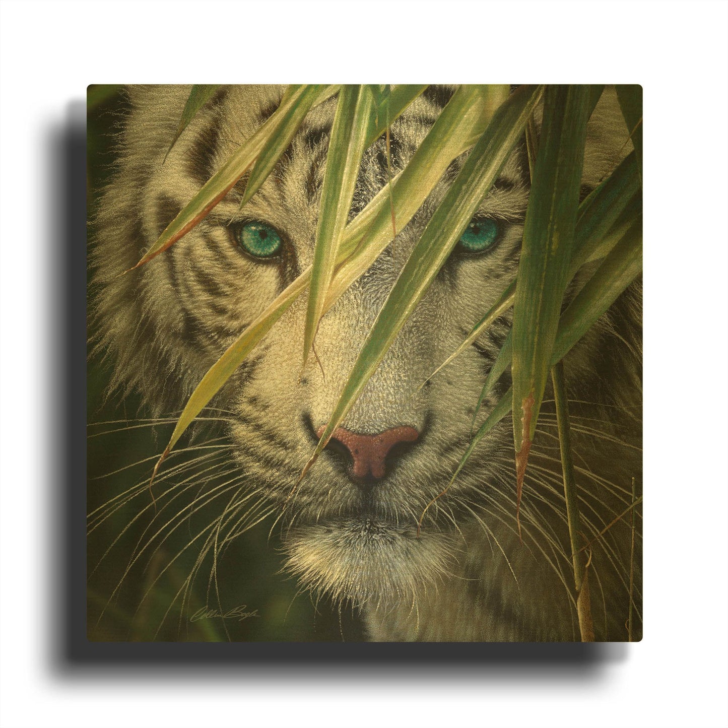'Watching and Waiting' By Collin Bogle Gold Metal Wall Art