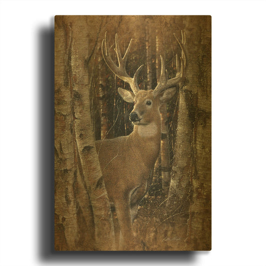 'Birchwood Buck' By Collin Bogle Gold Metal Wall Art