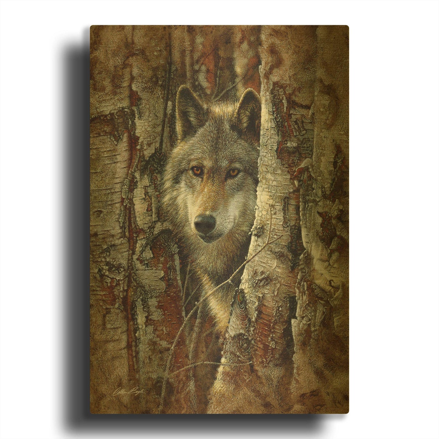 'Wood Land Spirit' By Collin Bogle Gold Metal Wall Art