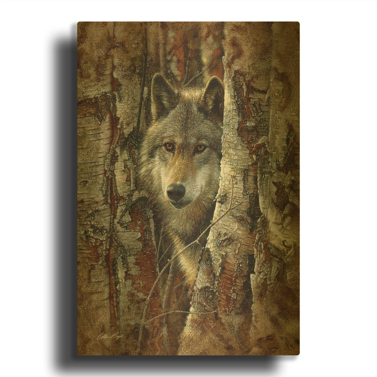 'Wood Land Spirit' By Collin Bogle Gold Metal Wall Art