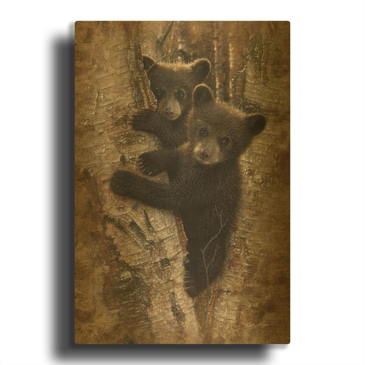 'Curious Cubs' By Collin Bogle Gold Metal Wall Art