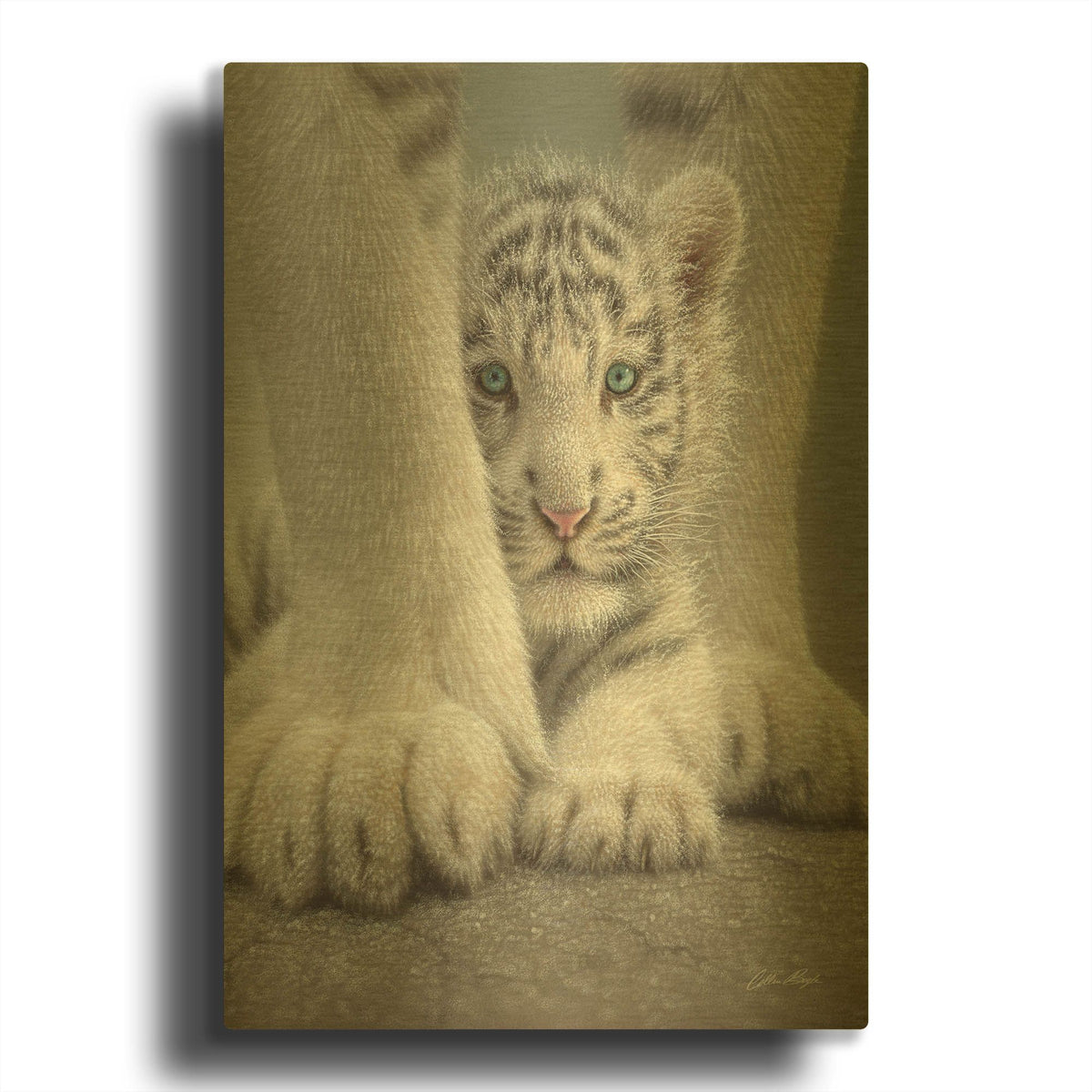 'Sheltered' By Collin Bogle Gold Metal Wall Art