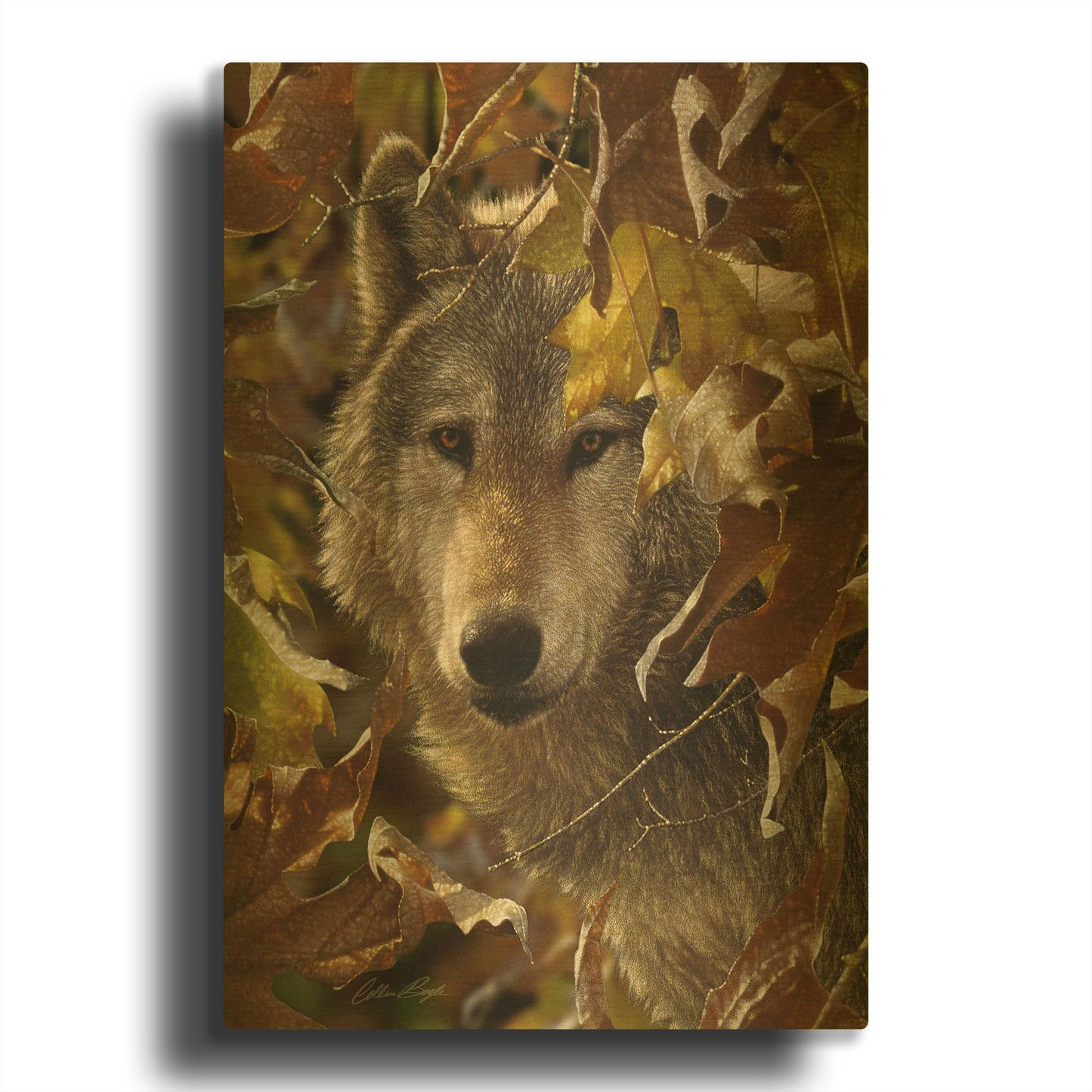 'Autumn Shadows' By Collin Bogle Gold Metal Wall Art