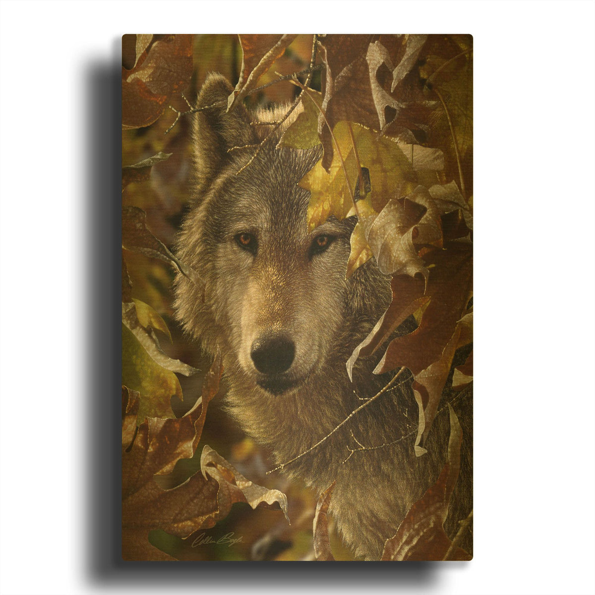 'Autumn Shadows' By Collin Bogle Gold Metal Wall Art