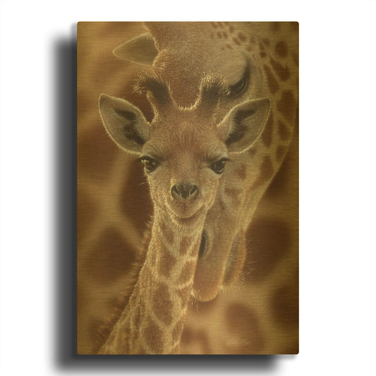 'New Born' By Collin Bogle Gold Metal Wall Art