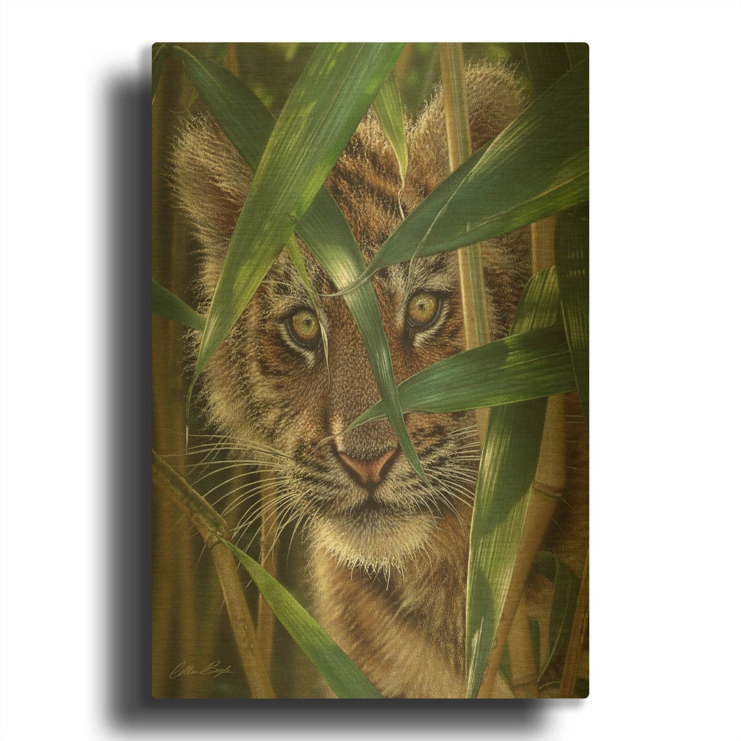 'Peekaboo' By Collin Bogle Gold Metal Wall Art