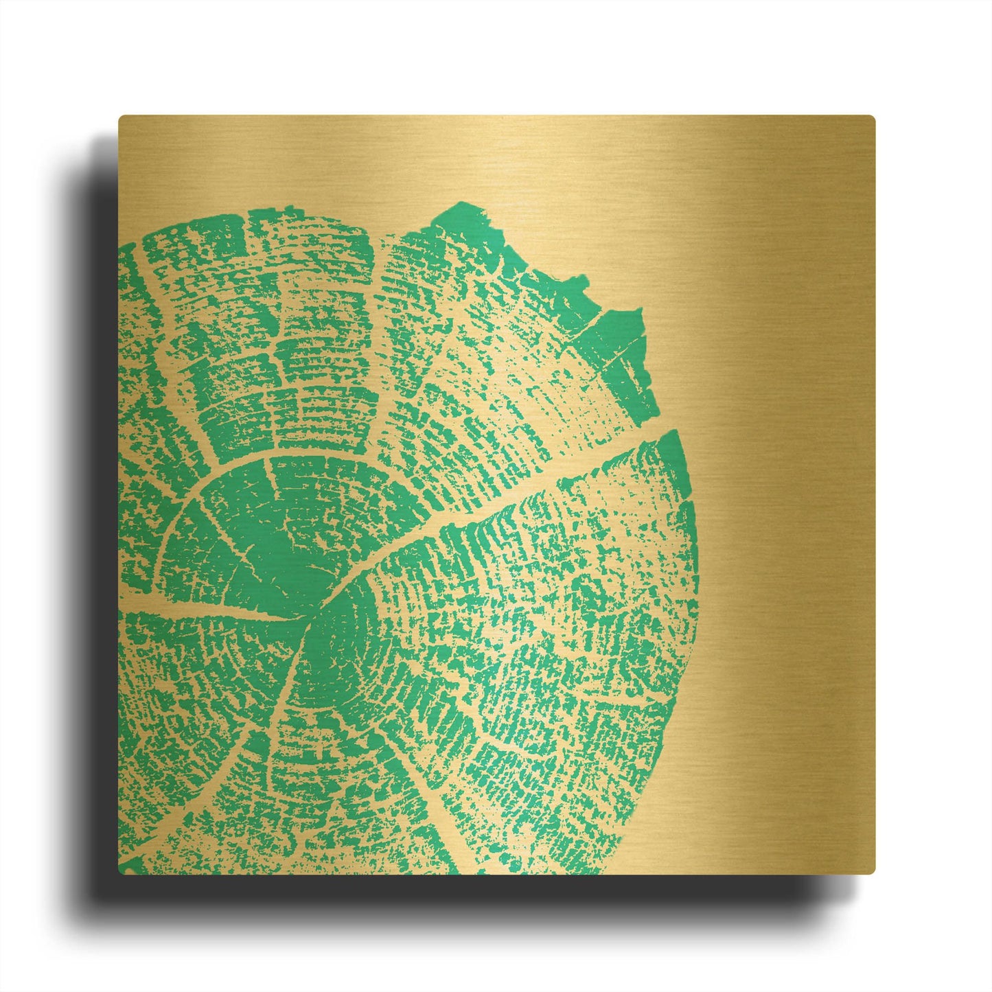 'Aqua Slice' By Linda Woods Gold Metal Wall Art