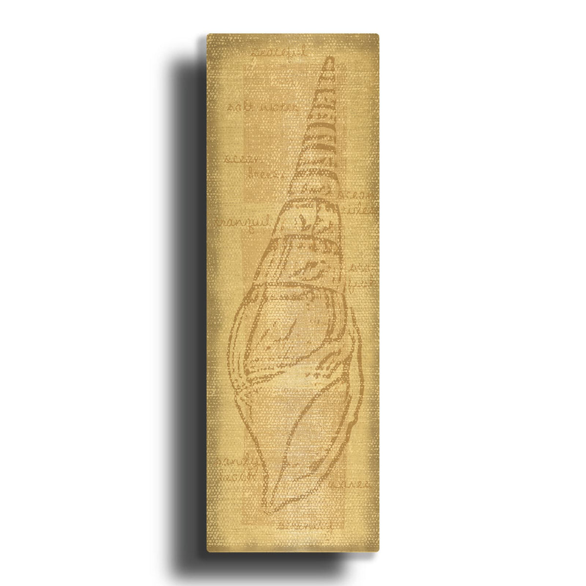 'Horn Shell' By Erin Clark Gold Metal Wall Art