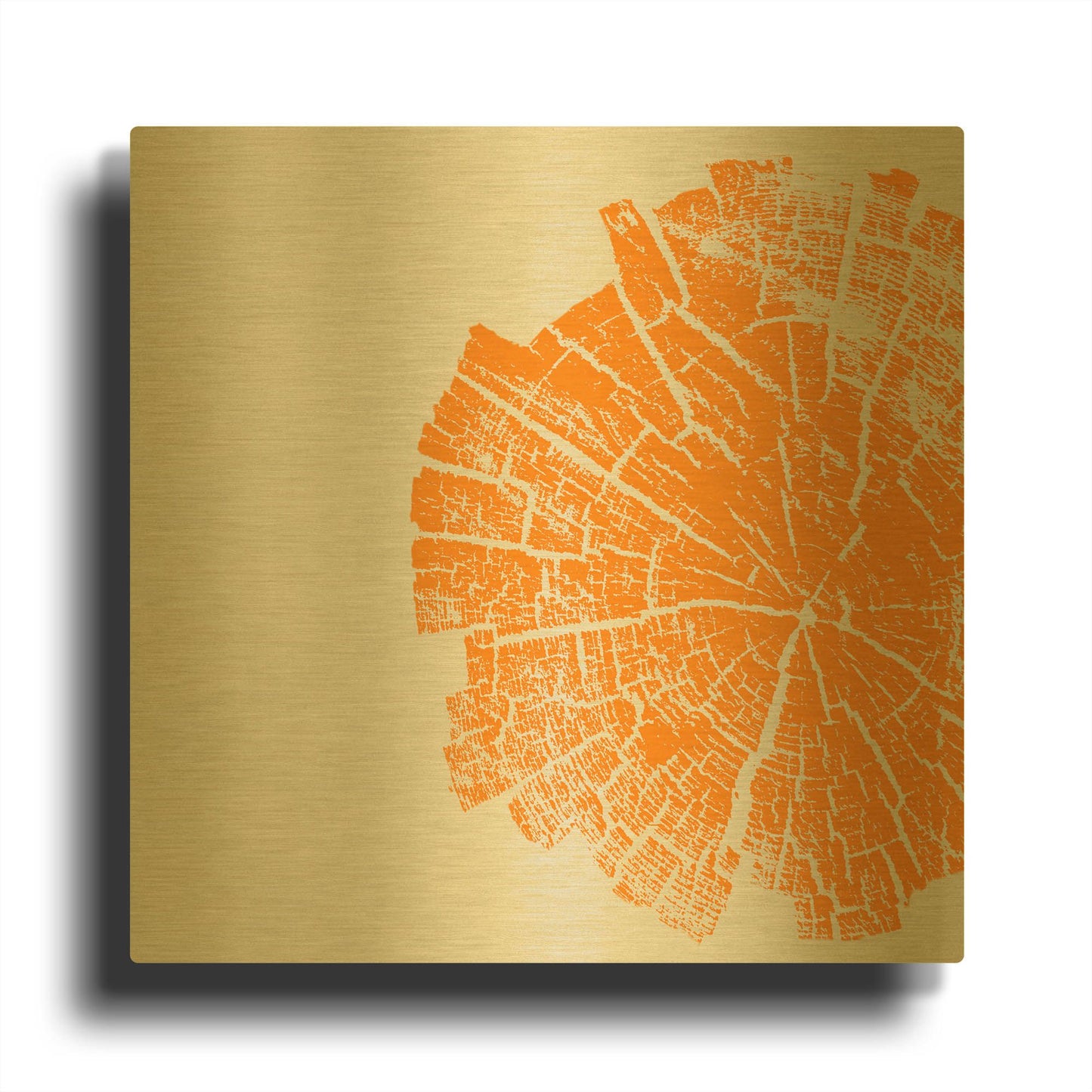 'Orange Slice' By Linda Woods Gold Metal Wall Art