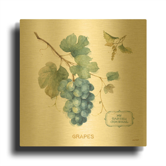'My Greenhouse Fruit III' By Lisa Audit Gold Metal Wall Art