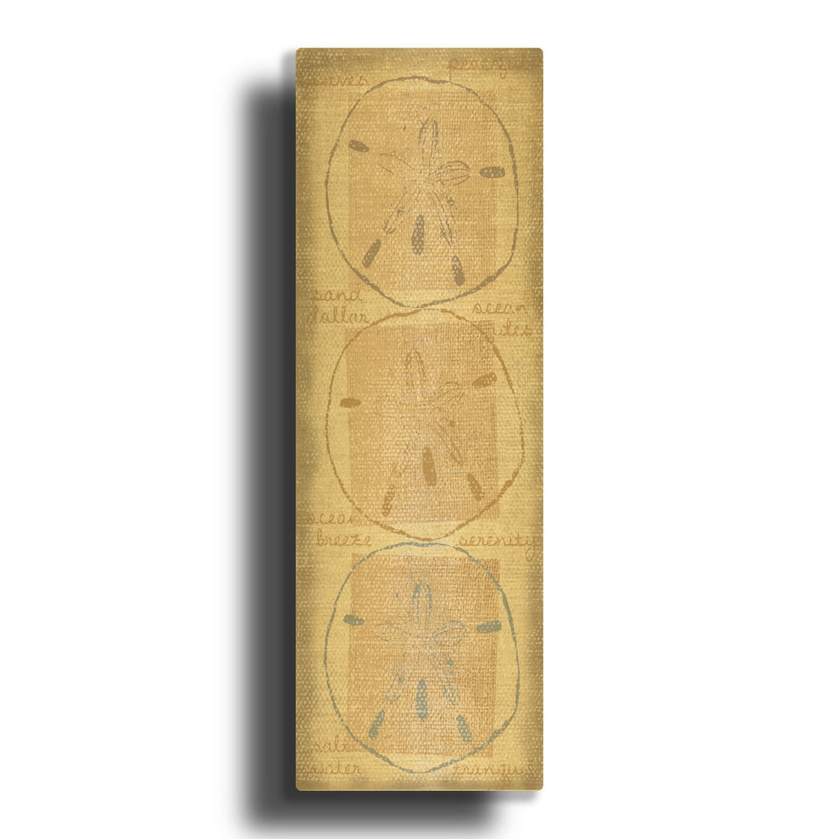 'Sand Dollar' By Erin Clark Gold Metal Wall Art