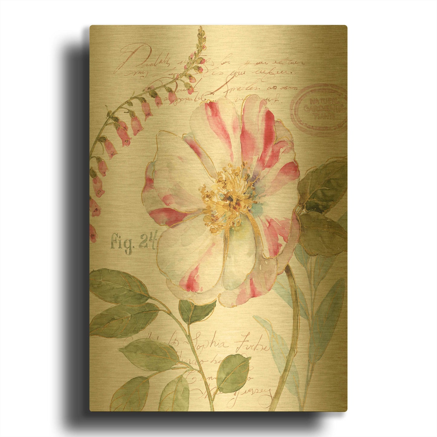 'Rainbow Seeds Botanical II' By Lisa Audit Gold Metal Wall Art