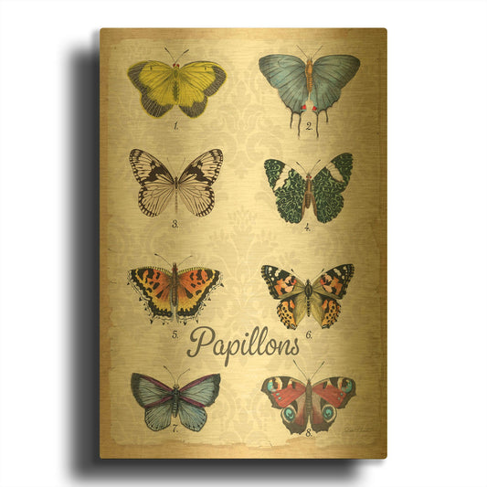 'Beautiful Papillon Study A' By Jean Plout Gold Metal Wall Art