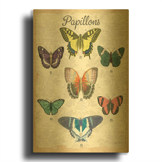 'Beautiful Papillon Study B' By Jean Plout Gold Metal Wall Art