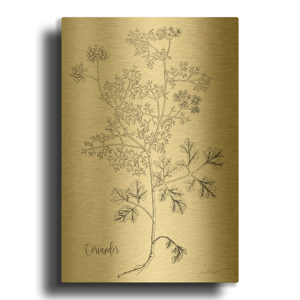 'Botanical Studies on Paper A' By Jean Plout Gold Metal Wall Art