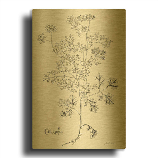 'Botanical Studies on Paper A' By Jean Plout Gold Metal Wall Art