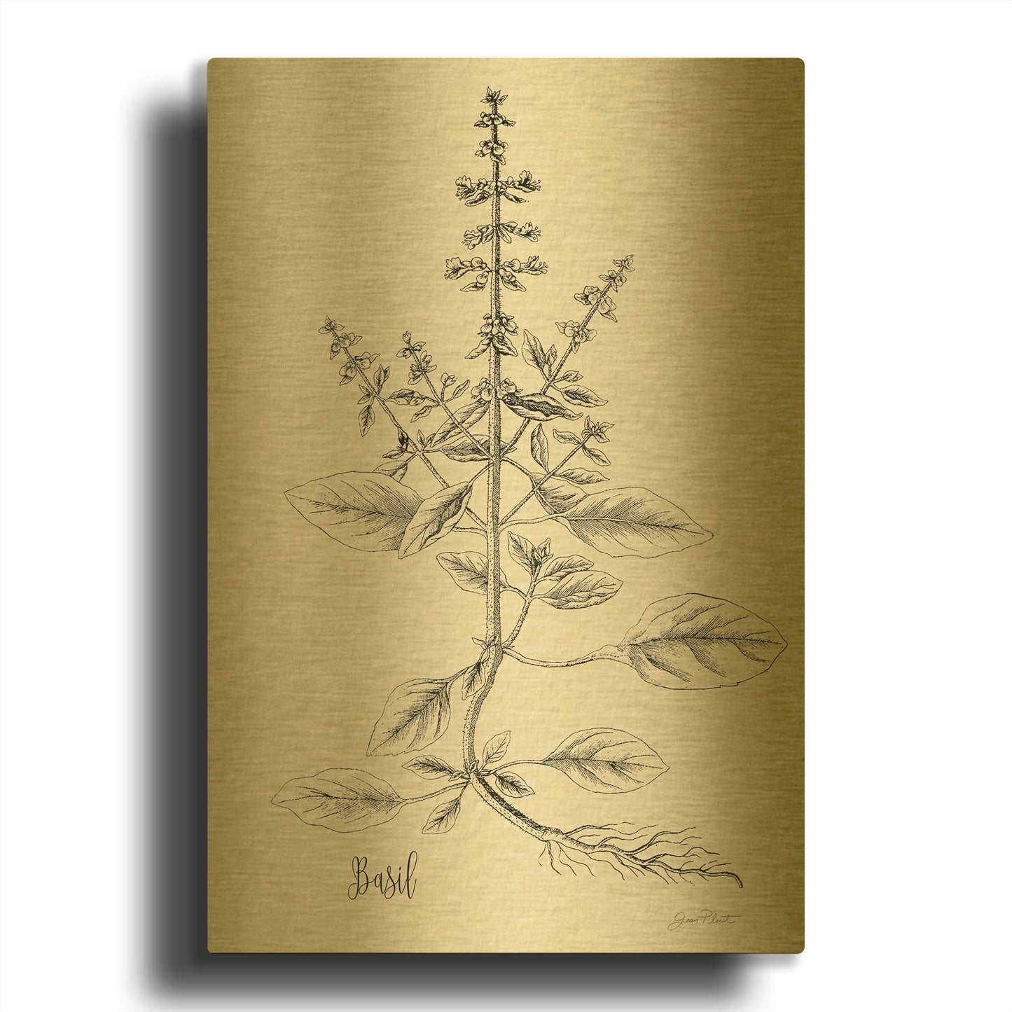 'Botanical Studies on Paper D' By Jean Plout Gold Metal Wall Art