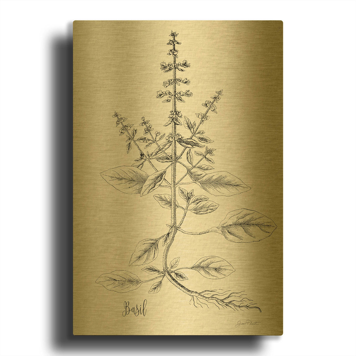 'Botanical Studies on Paper D' By Jean Plout Gold Metal Wall Art