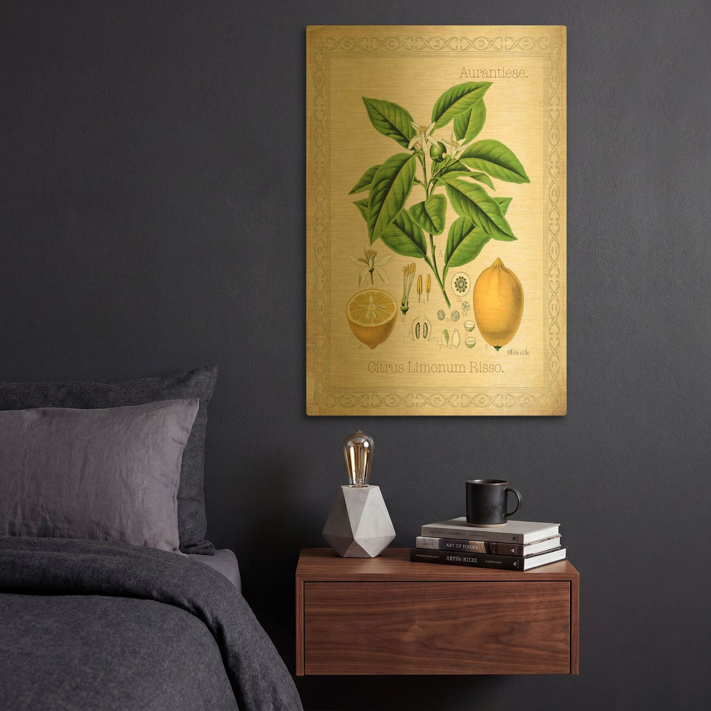 'Citrus Limonum Risso' By Jean Plout Gold Metal Wall Art