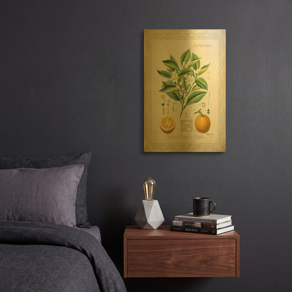 'Citrus Vularis Risso' By Jean Plout Gold Metal Wall Art