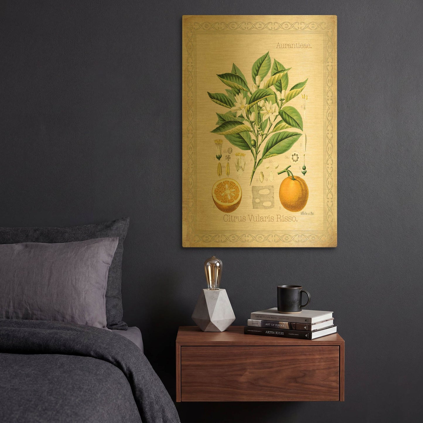 'Citrus Vularis Risso' By Jean Plout Gold Metal Wall Art