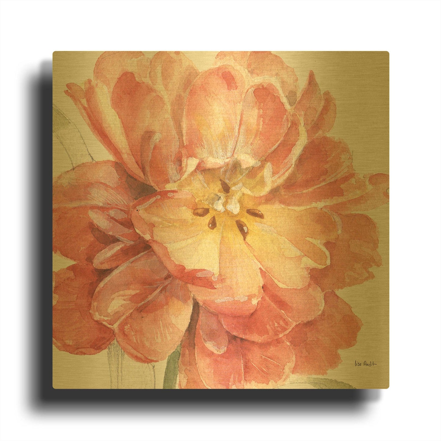 'Spring Meadow V' By Lisa Audit Gold Metal Wall Art