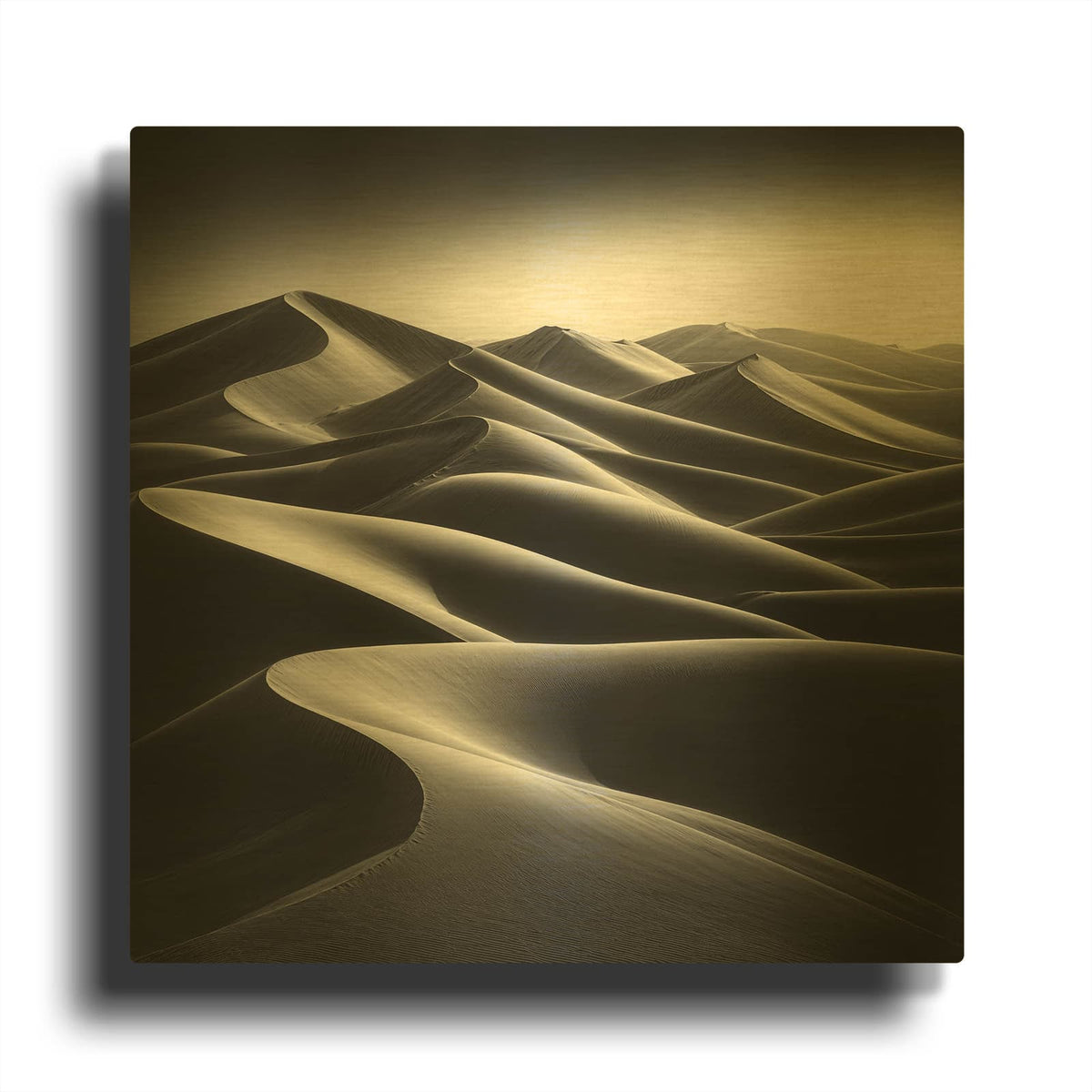 'Sand Dunes B&W 1' By Rey Klimt Gold Metal Wall Art