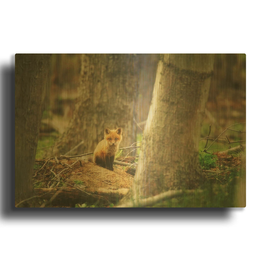 'Babe in the Woods' By Carrie Ann Grippo-Pike Gold Metal Wall Art