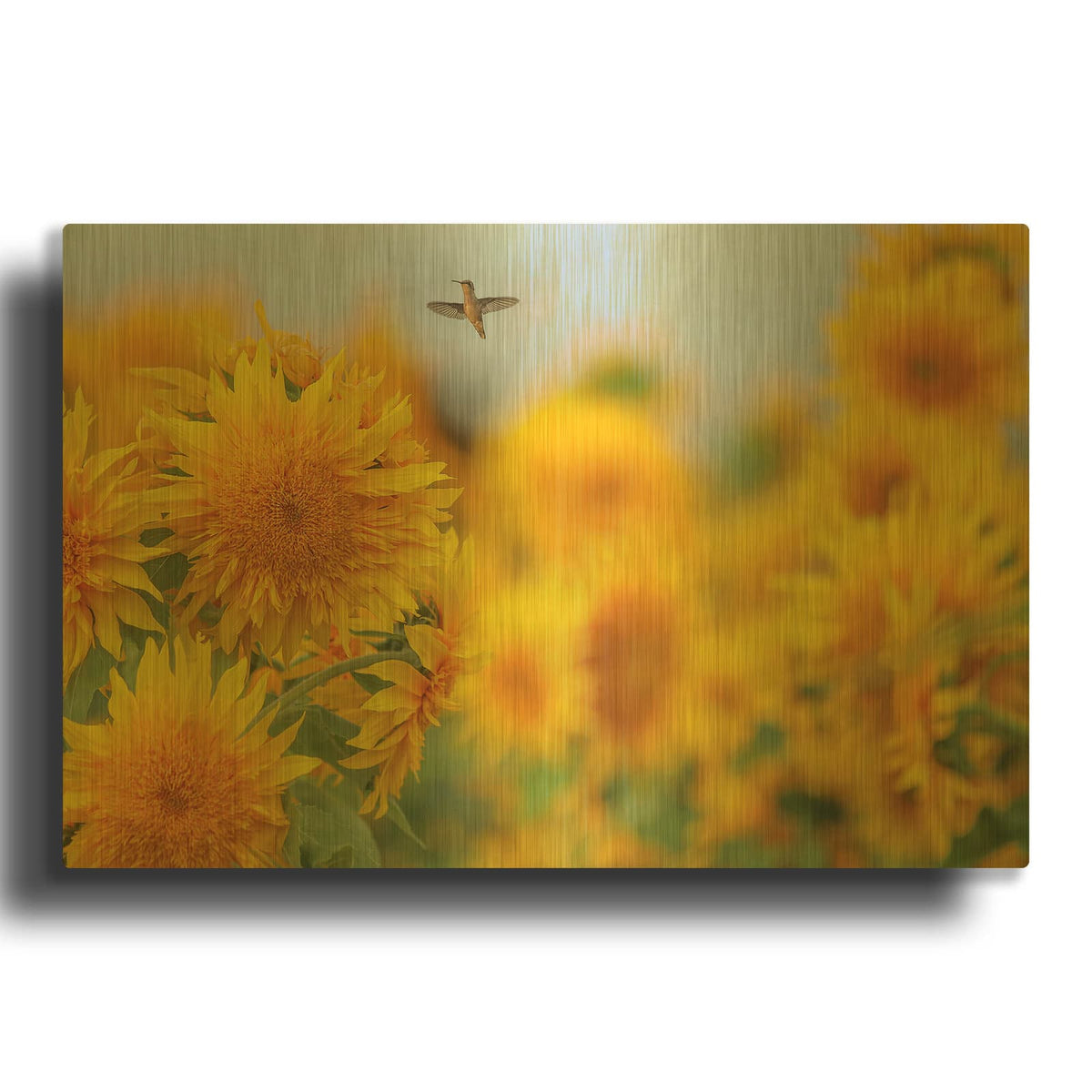 'Happy Hummingbird and Sunflowers' By Carrie Ann Grippo-Pike Gold Metal Wall Art