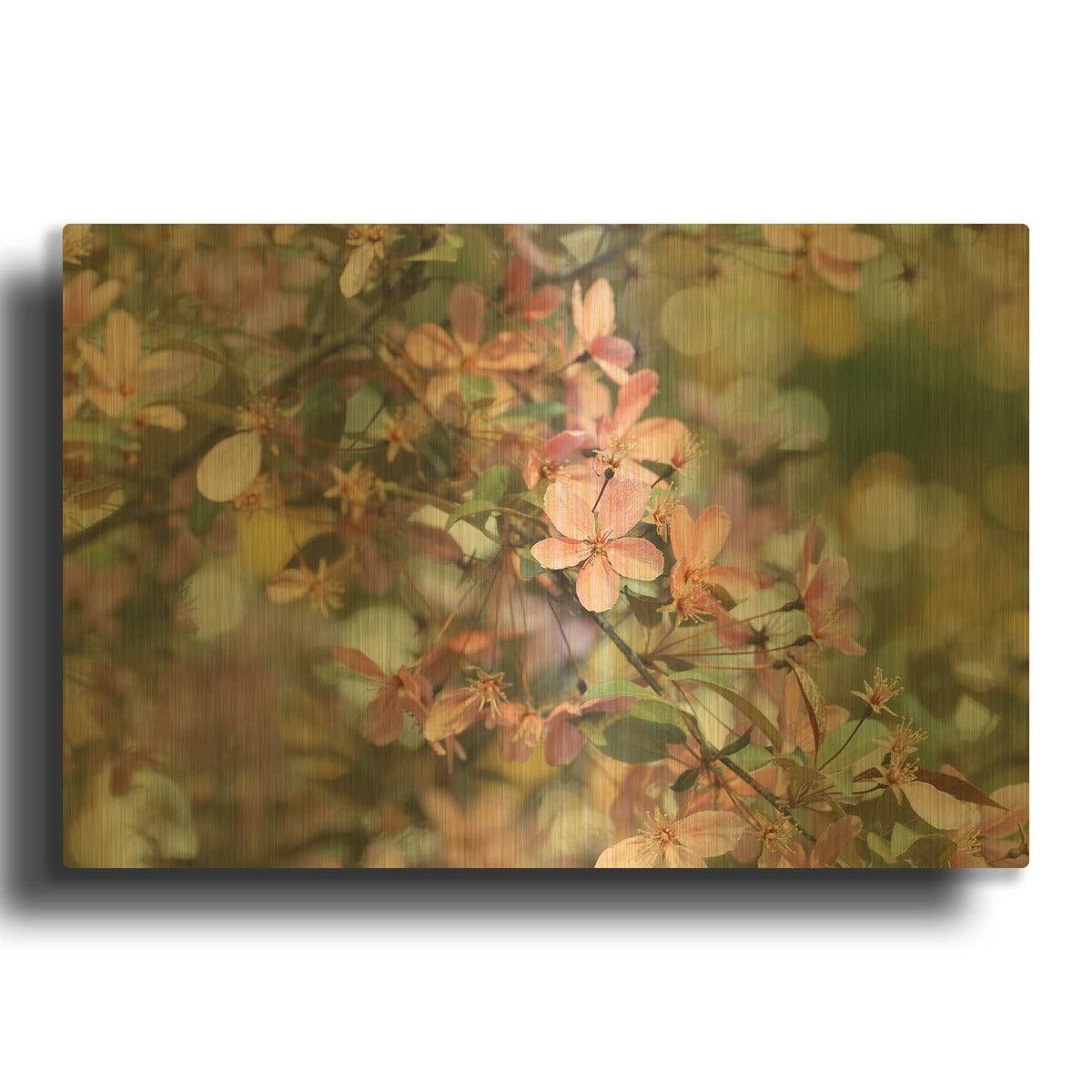 'Pastel Petals' By Carrie Ann Grippo-Pike Gold Metal Wall Art