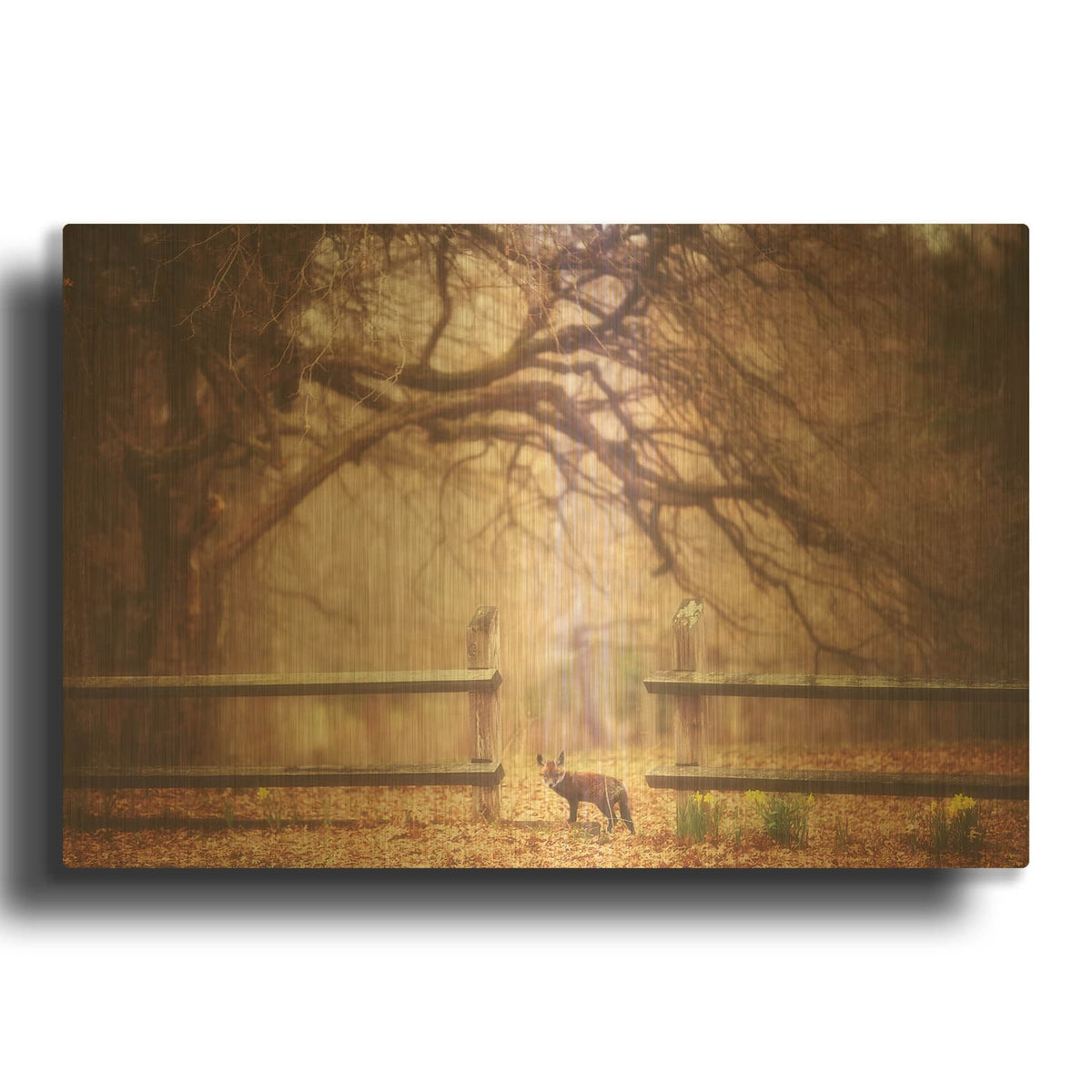 'Sly Guy' By Carrie Ann Grippo-Pike Gold Metal Wall Art