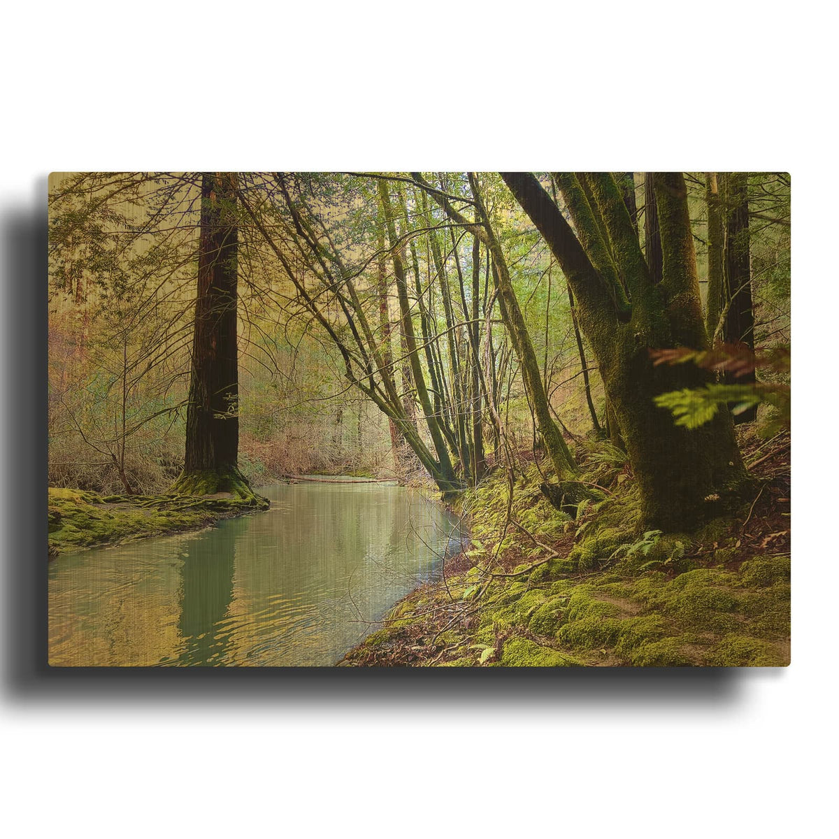 'Bohemian Creekside' By Nicole Dell Gold Metal Wall Art