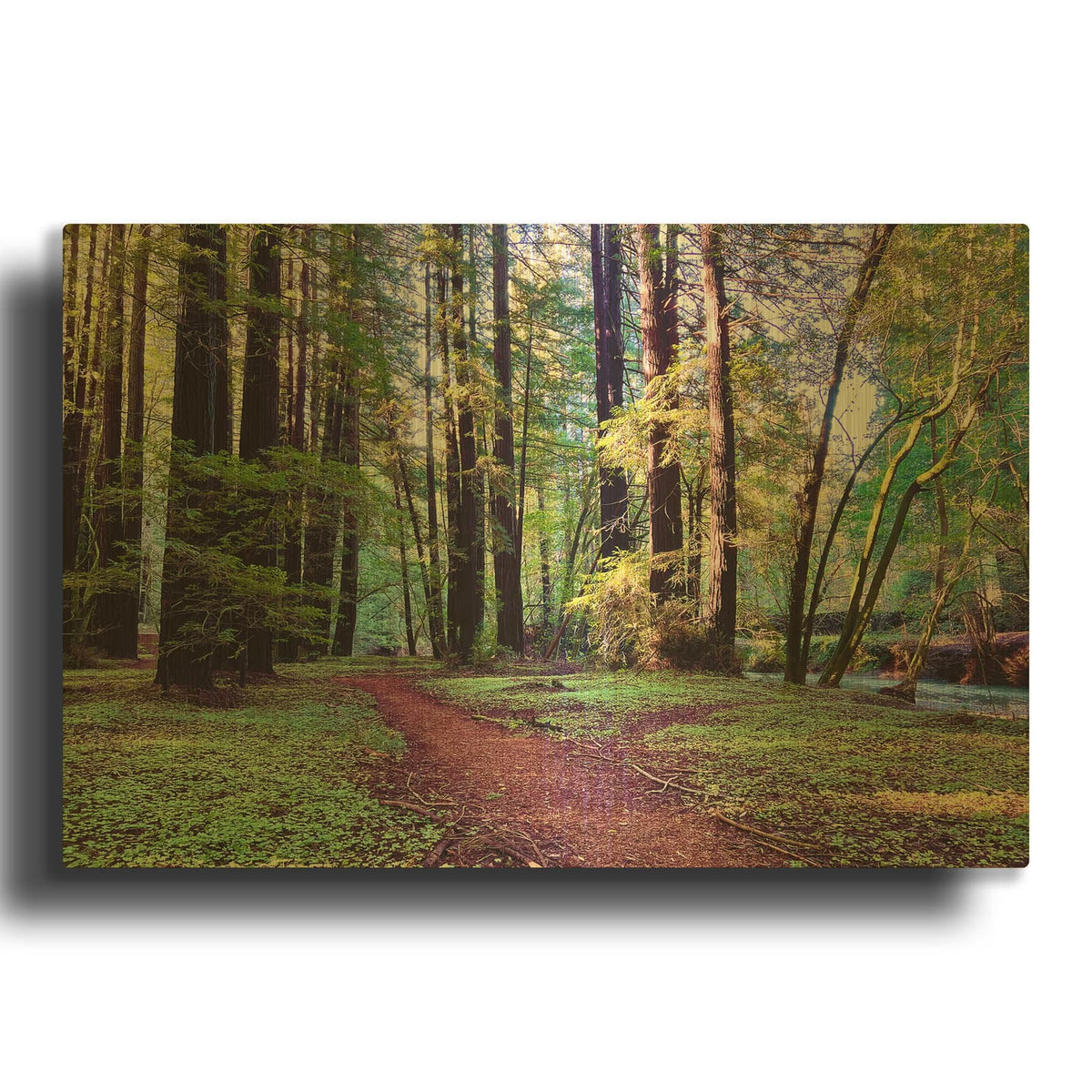 'Bohemian Trail' By Nicole Dell Gold Metal Wall Art