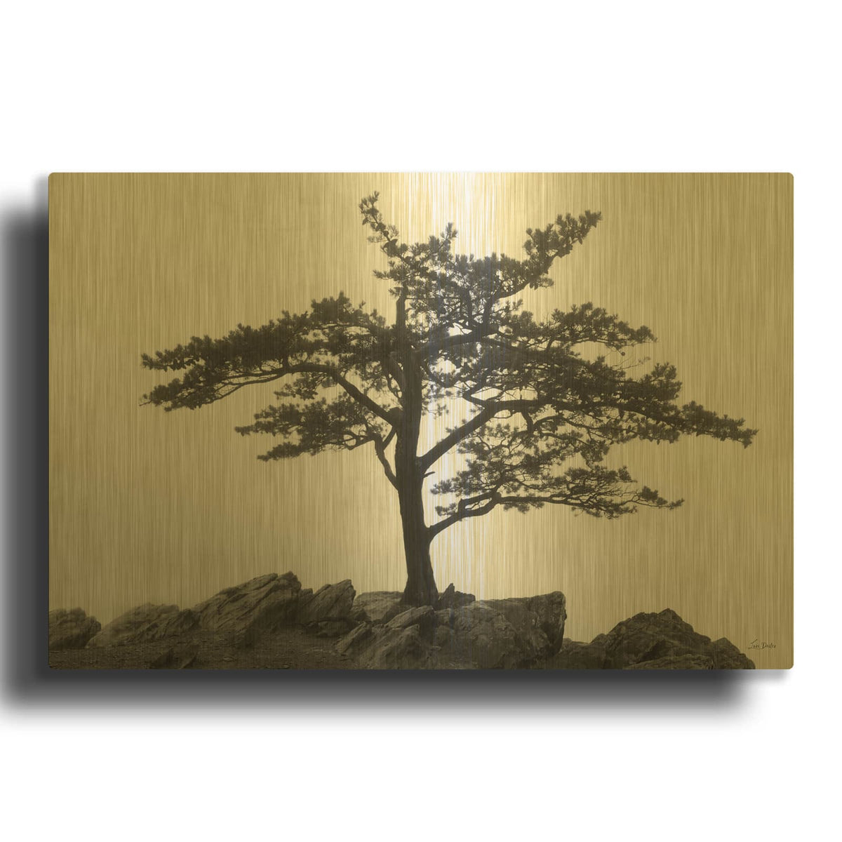 'Blue Ridge Tree' By Lori Deiter Gold Metal Wall Art