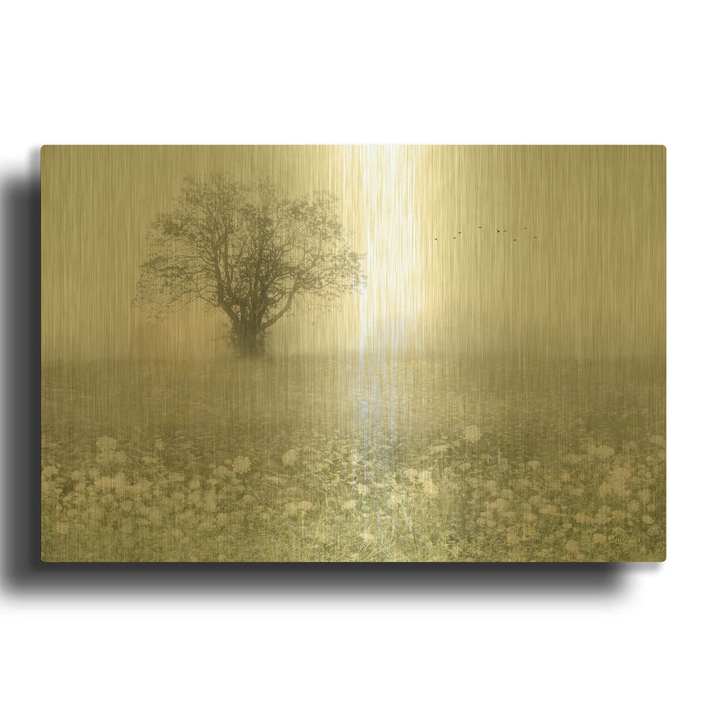 'Field Of Queen Anne' By Lori Deiter Gold Metal Wall Art
