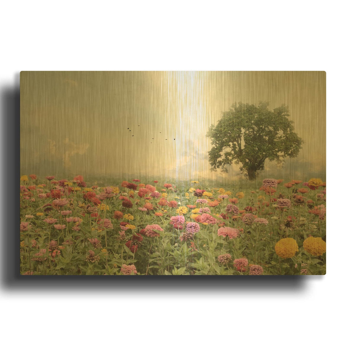 'Zinnia Field' By Lori Deiter Gold Metal Wall Art