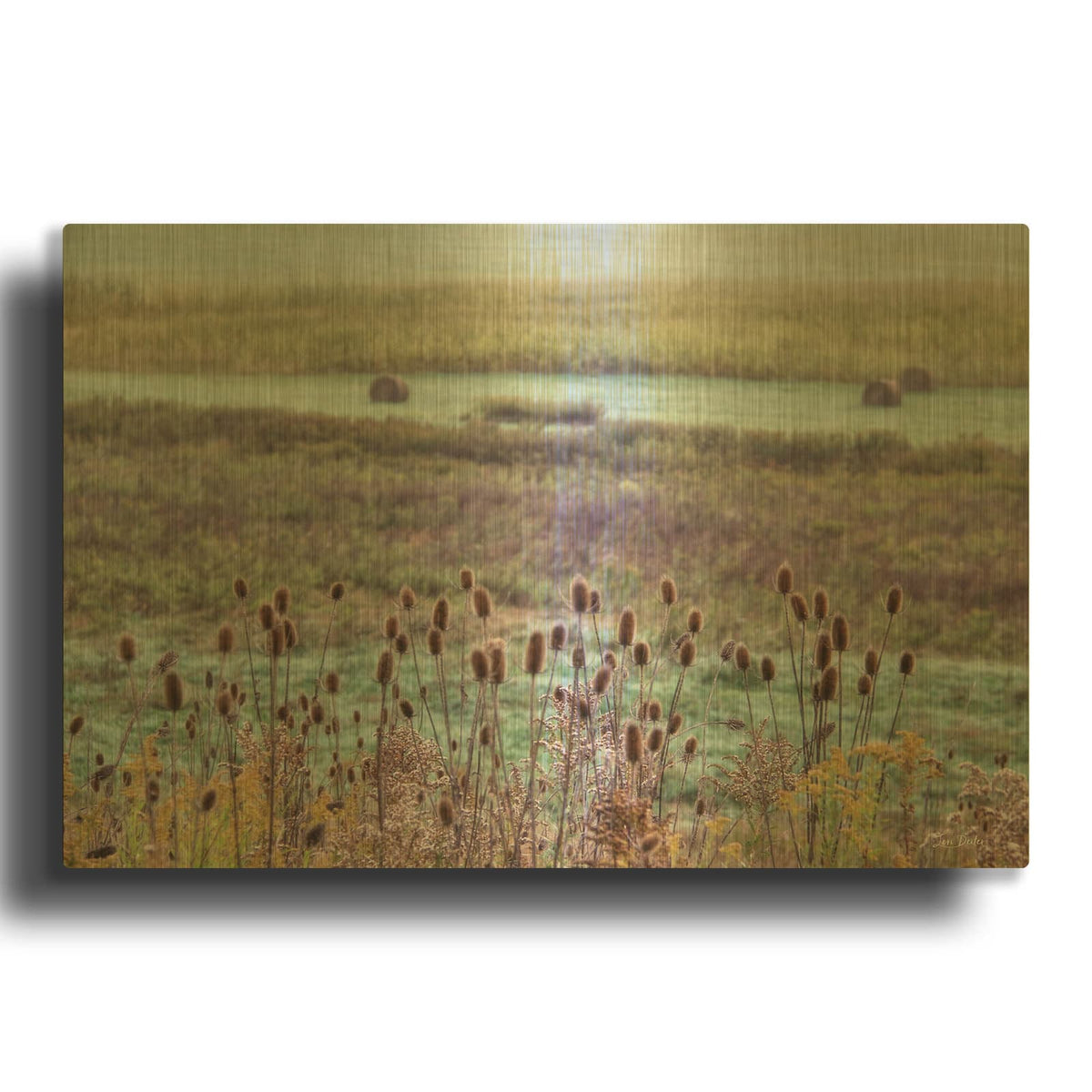 'Roadside Beauty' By Lori Deiter Gold Metal Wall Art