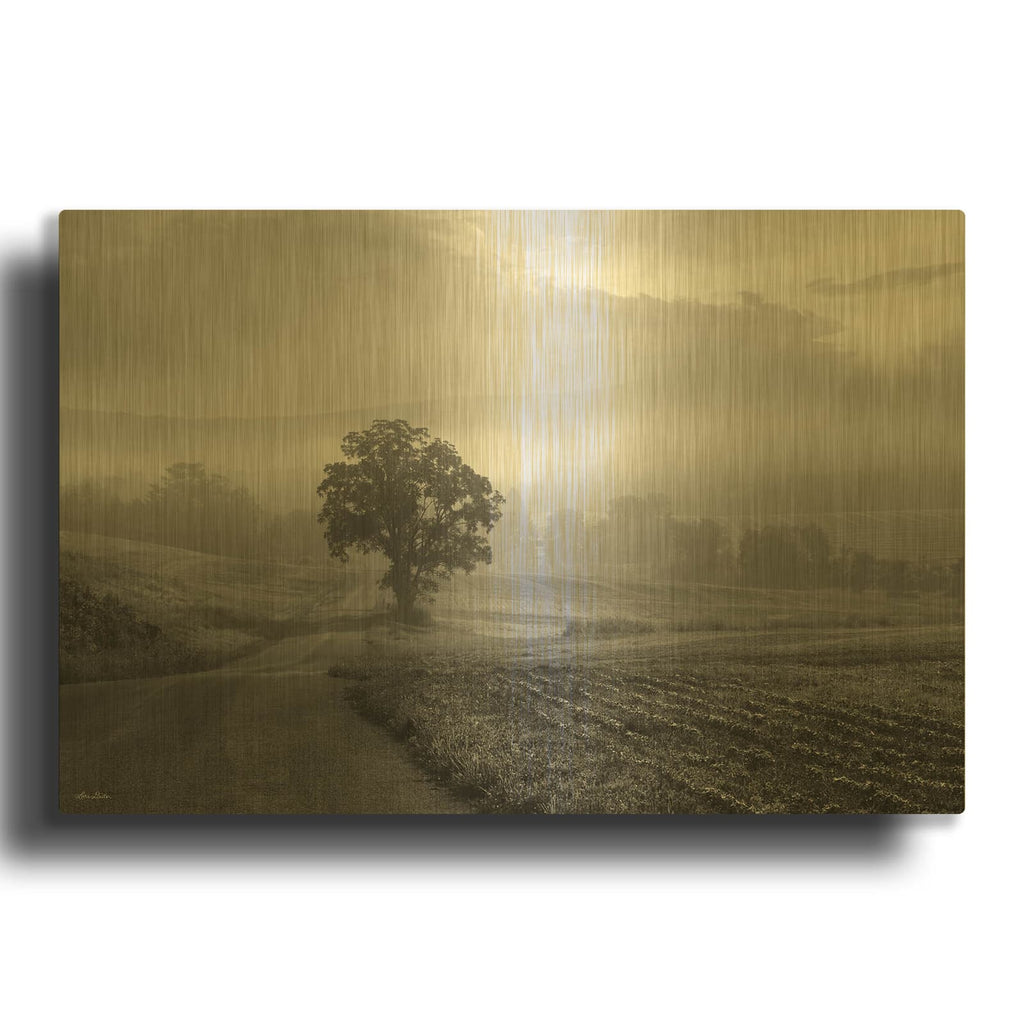 'Morning Haze 2' By Lori Deiter Gold Metal Wall Art