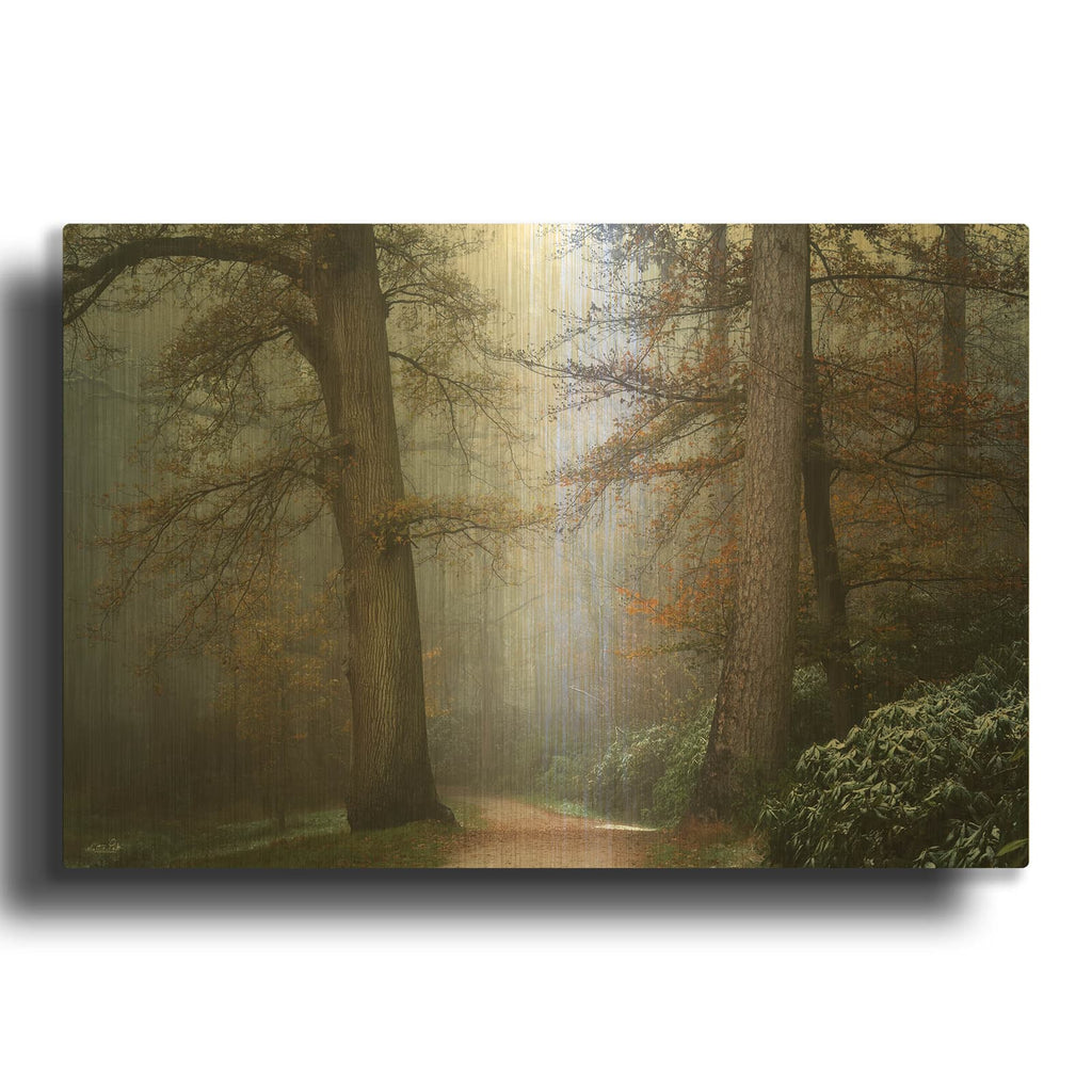 'Peaceful Path' By Martin Podt Gold Metal Wall Art