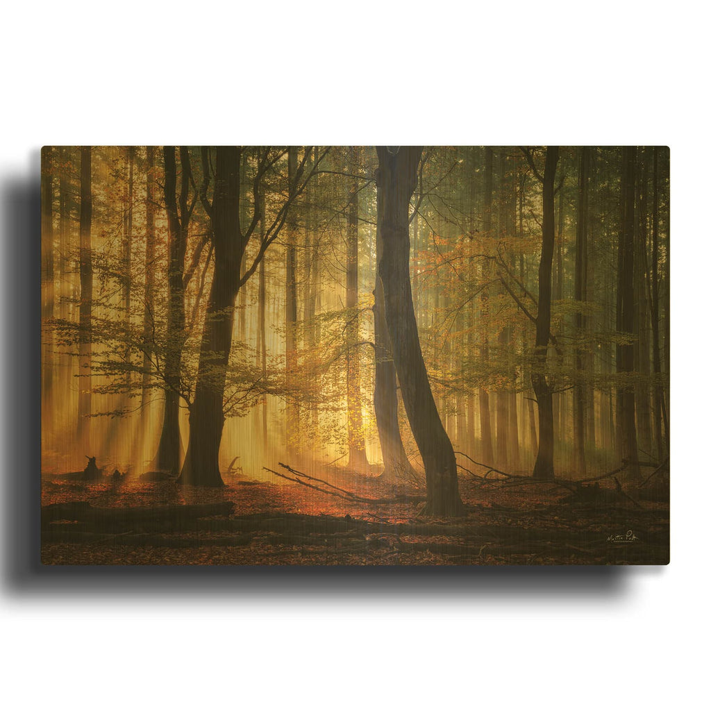 'Autumn Light' By Martin Podt Gold Metal Wall Art