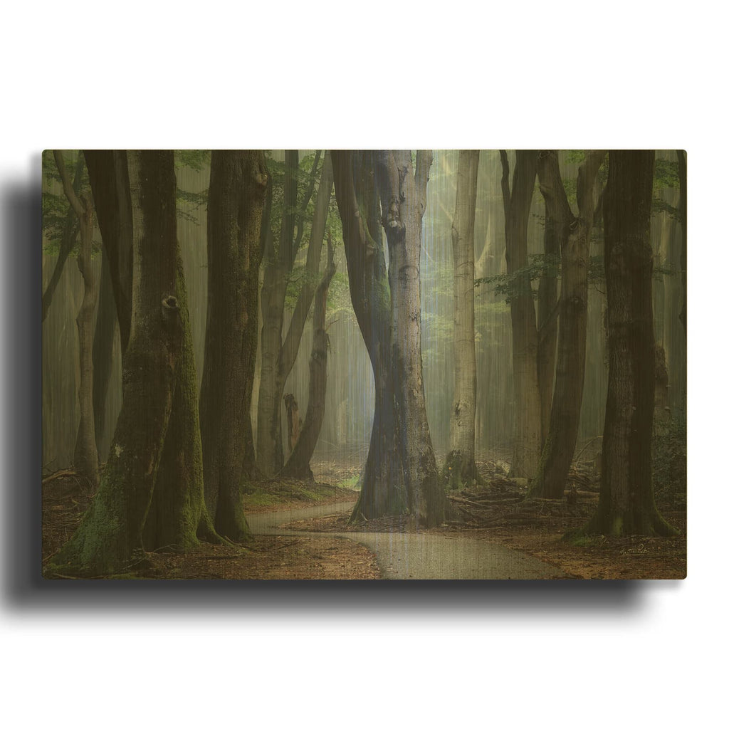 'Winding Through The Trees' By Martin Podt Gold Metal Wall Art