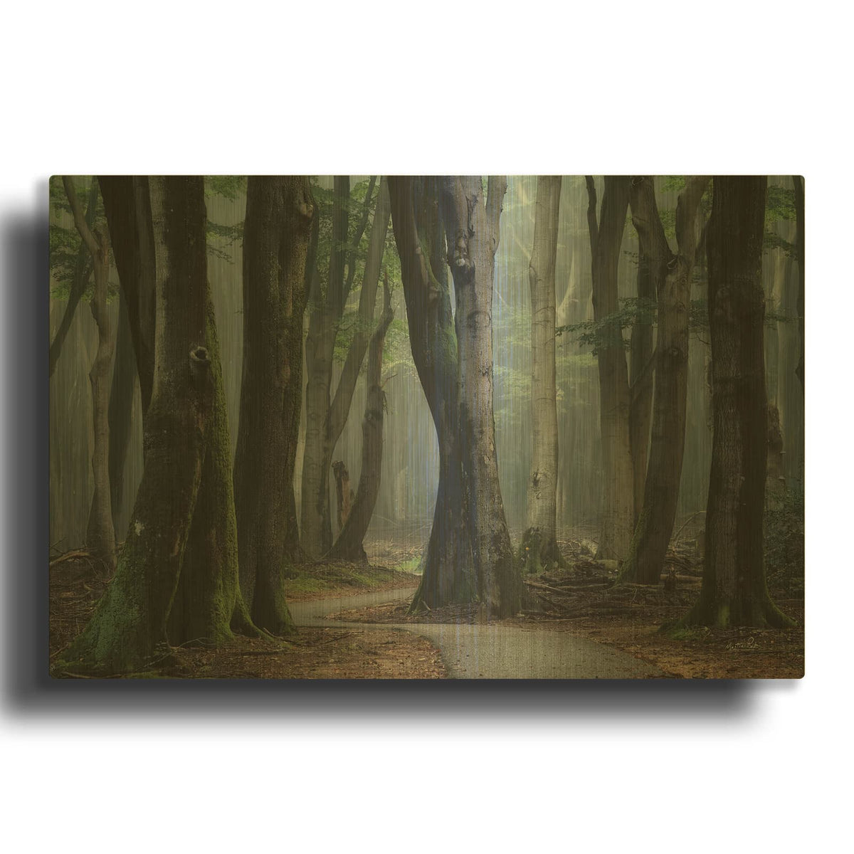 'Winding Through The Trees' By Martin Podt Gold Metal Wall Art