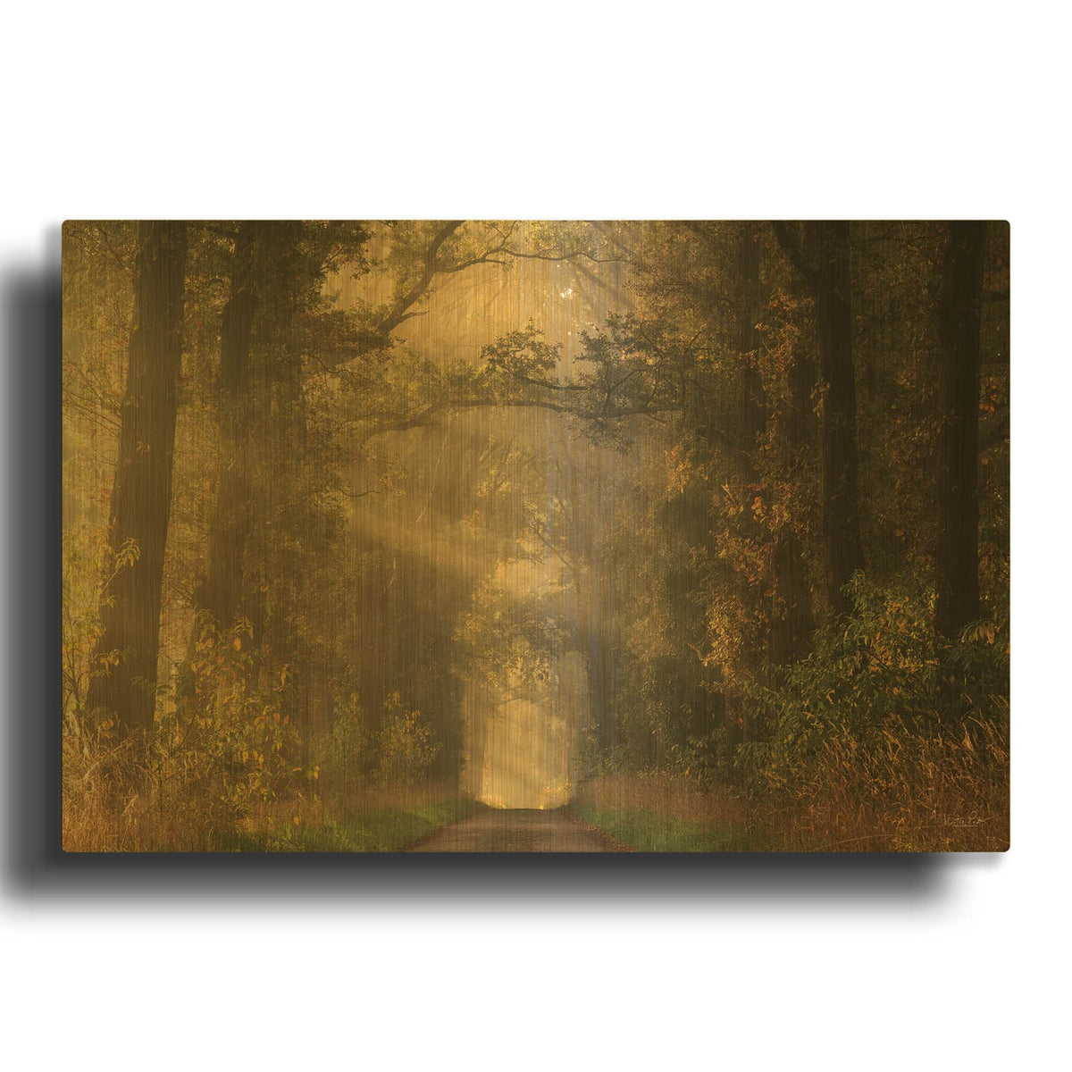 'Moody Morning' By Martin Podt Gold Metal Wall Art