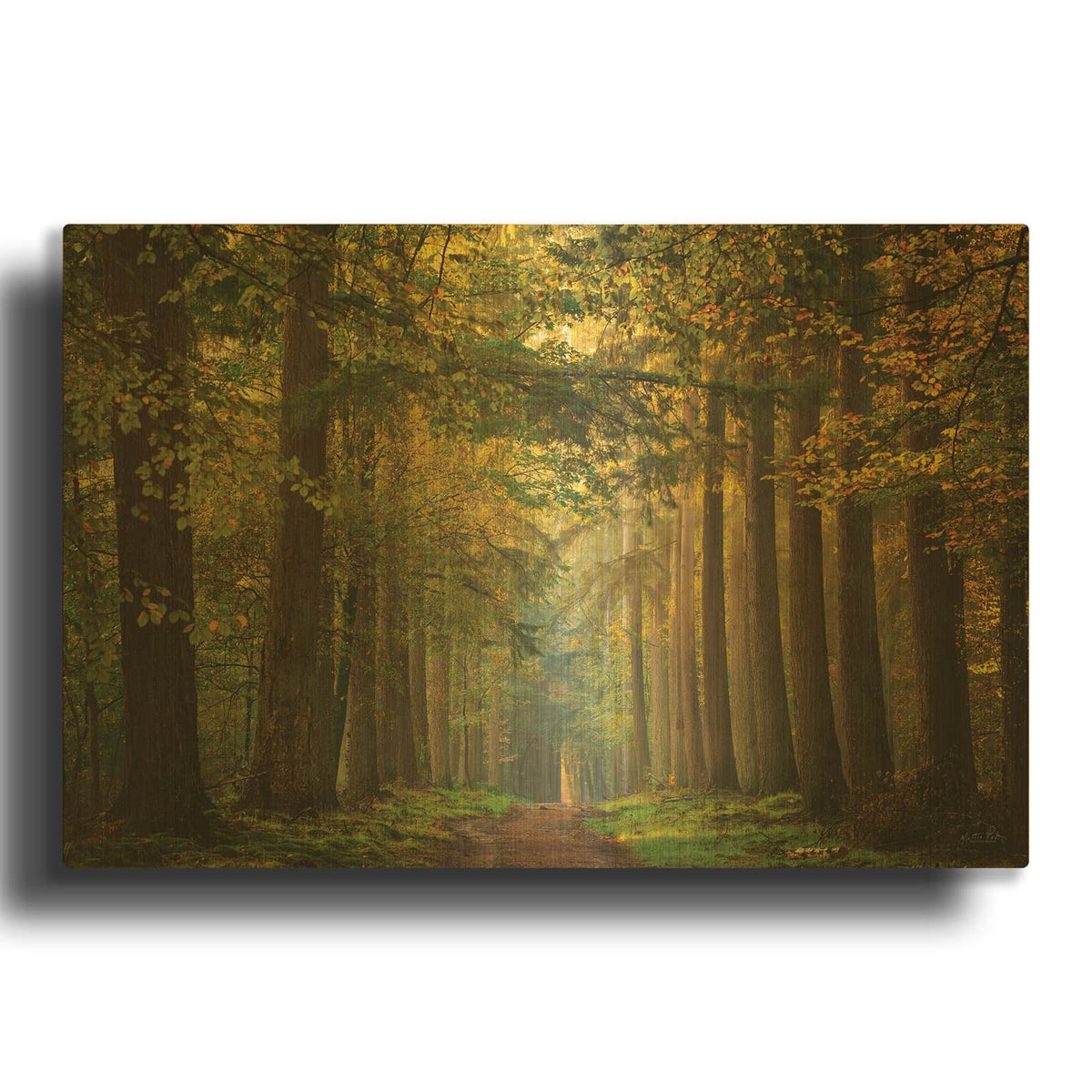 'Time Of Change' By Martin Podt Gold Metal Wall Art
