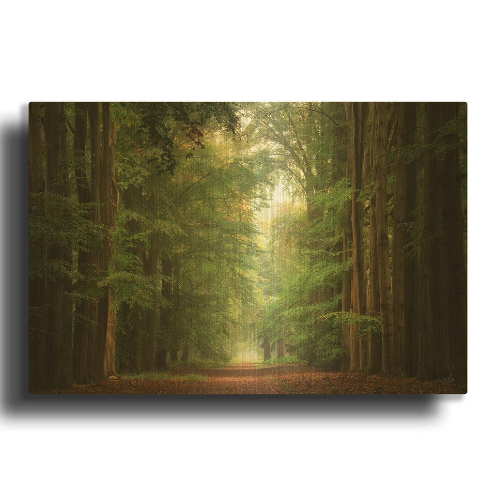'Forest Bound' By Martin Podt Gold Metal Wall Art
