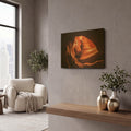 MGLD-68932-1612-LS2 room view