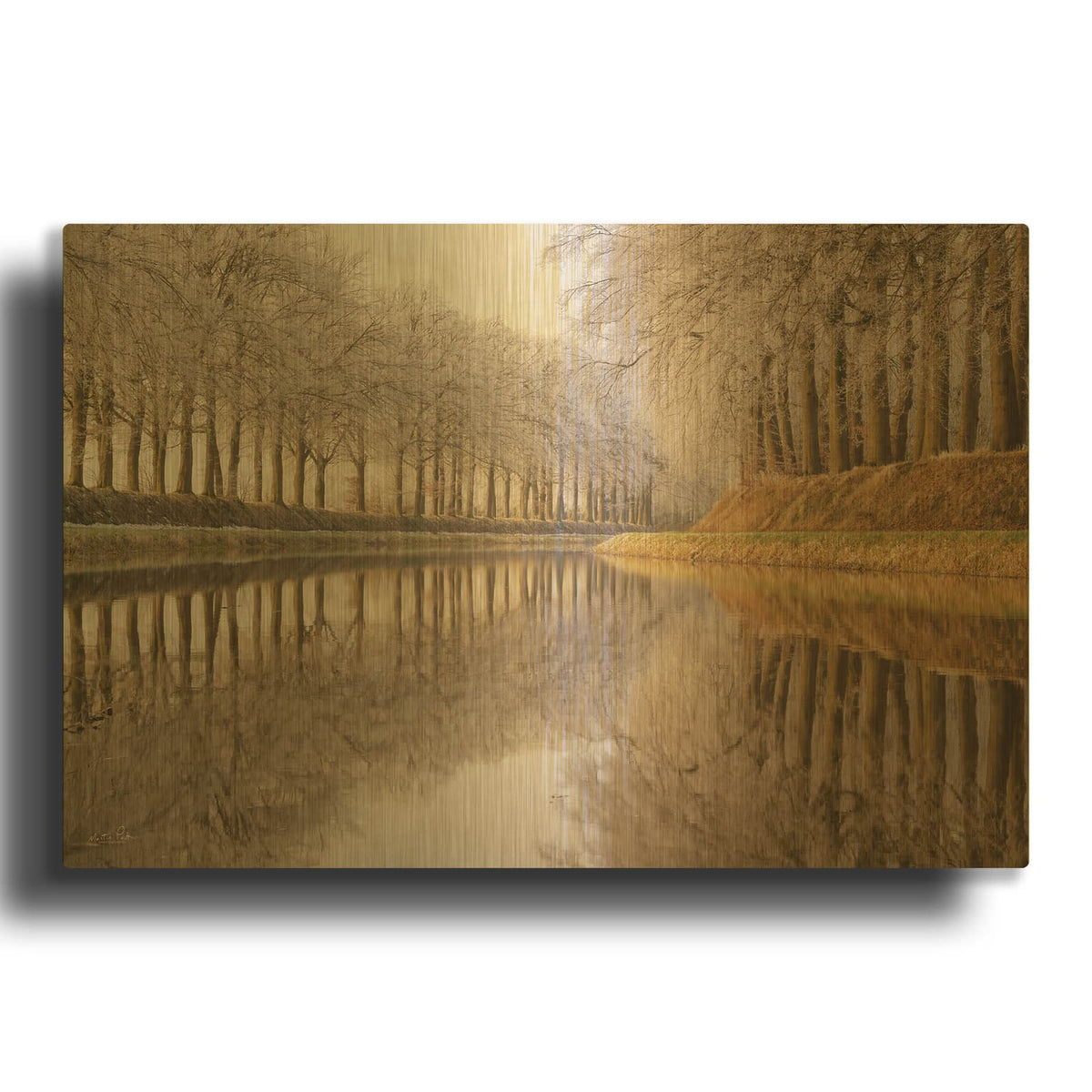 'Frosty Reflections' By Martin Podt Gold Metal Wall Art