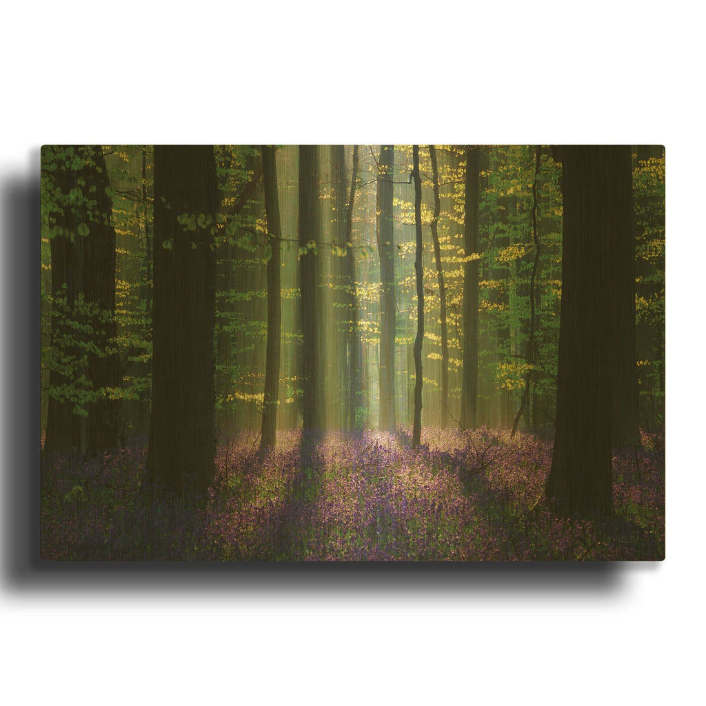 'Perfect Spring Scene' By Martin Podt Gold Metal Wall Art