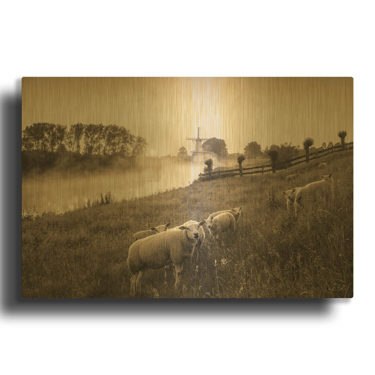 'Grazing Sheep' By Martin Podt Gold Metal Wall Art