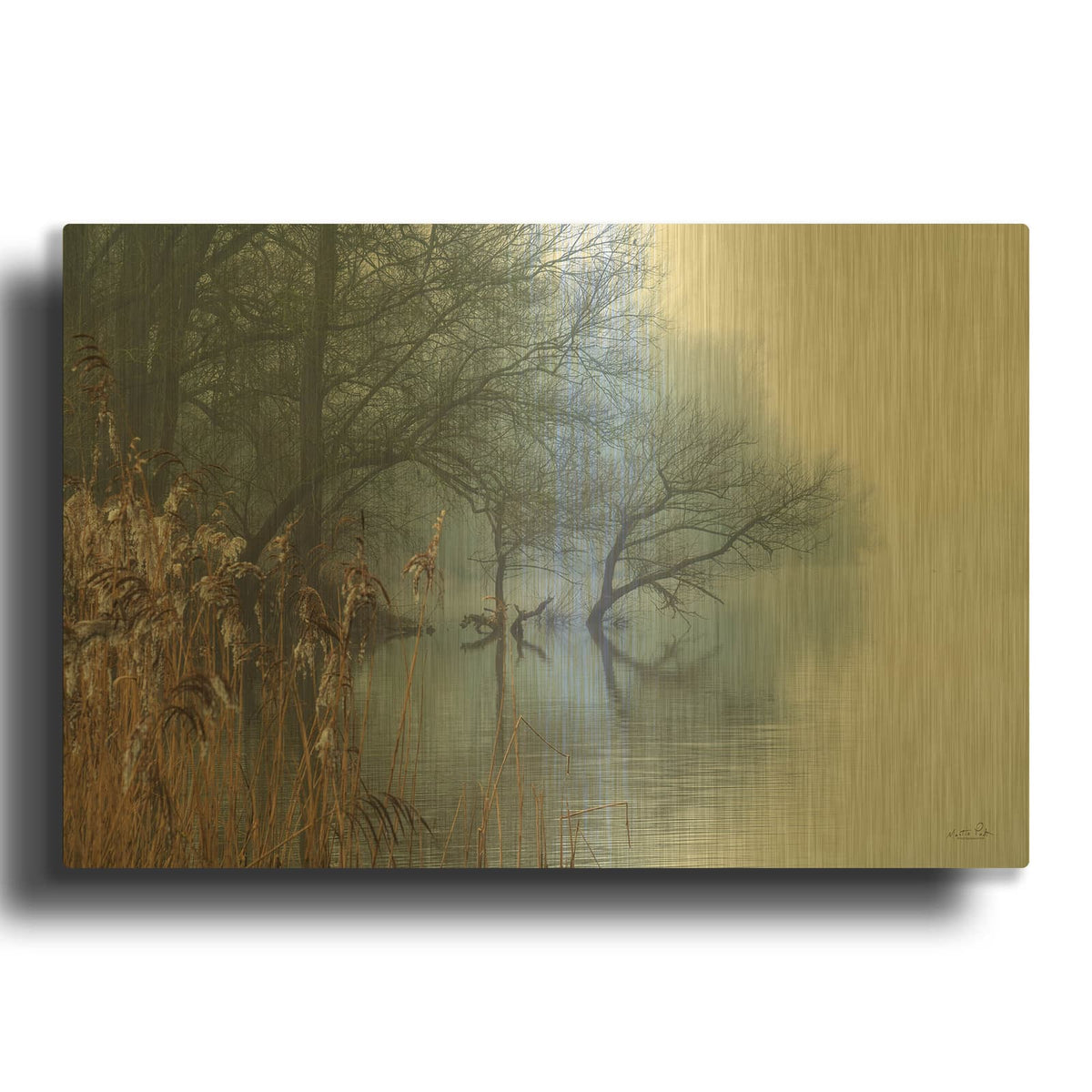'In The Swamps' By Martin Podt Gold Metal Wall Art